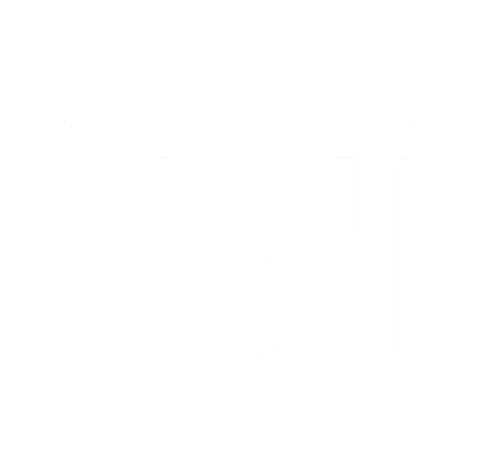 Dartmoor Photographic Ltd. logo