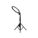 Agfaphoto Realiview AR11XL Ring Light & Stand