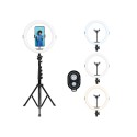 Agfaphoto Realiview AR11XL Ring Light & Stand