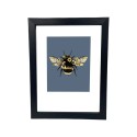 Bugg Black Frame