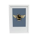 Bugg White Frame 