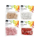 Coloured Mini Pegs