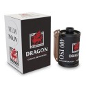 DragonFilm No. IV