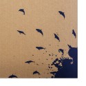 Green Wood Dolphin Album Series
