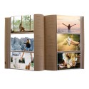 Green Wood Dolphin Album Series