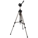 Star Tripod