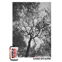 Ilford XP2 B&W 35mm (36exp) Colour Process