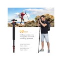 K&F Carbon Professional DSLR Tripod SA254C1