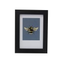 Newark Black Frame