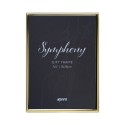 Symphony Gold Series Frame