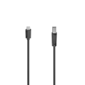 USB C - USB B Cable