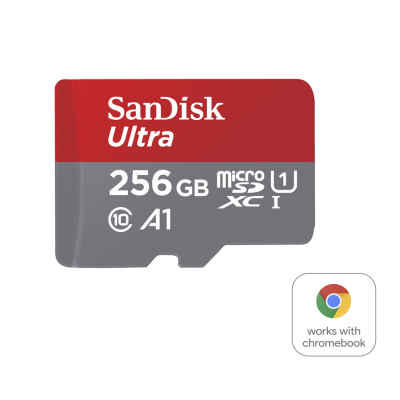Team 8GB Micro SDHC Class 10 with Adapter 
