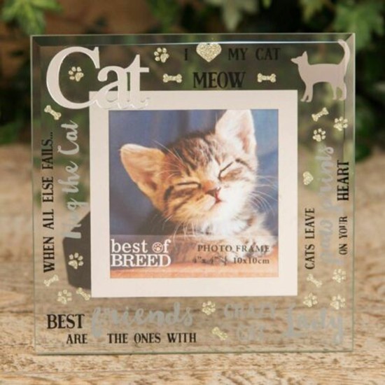 Best Of Breed Cat 4x4 