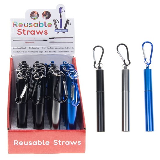 Reusable Stainless Steel Straw Set 