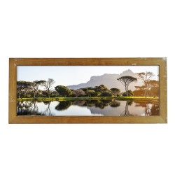 Panoramic